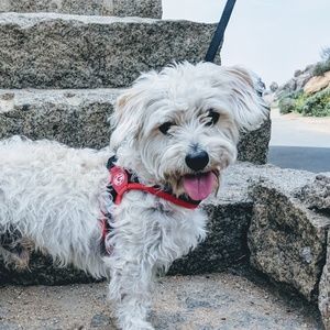 Meet your Posher, Keren